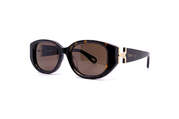 サングラス Ch0237sk Sunglasses - Chloe - Acetate - Black Chloé - CH0237SK (002) – Good See Co.