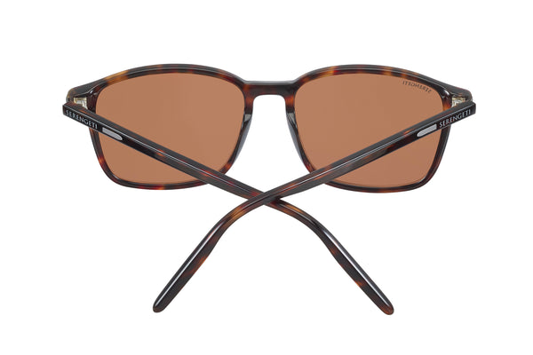 Serengeti Lenwood (Shiny Dark Havana) – Good See