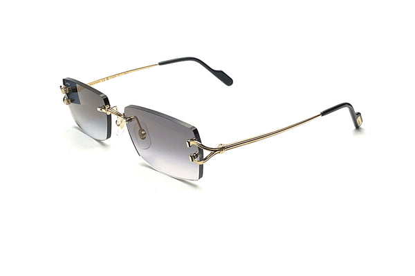 Cartier - CT0550S (001) – Good See Co.