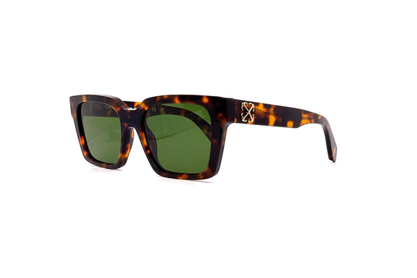 NWT Off-White Clearwater Havana 56mm Sunglasses Off-White Venezia Sunglasses 6055 Havana - eye-oo.com main image 4