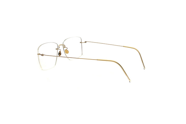 Lindberg - 2529 (LOD 750) – Good See Co.