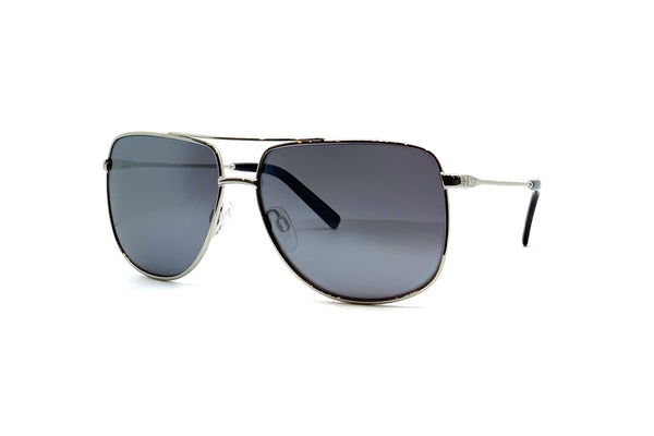 Dillon - Goose (Shiny Silver | Silver NIR)