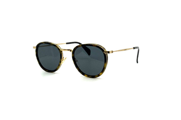 Celine Sunglasses - CL41423/S (ANTIR)