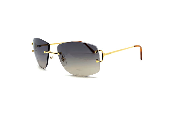 Cartier - CT0008RS (001)