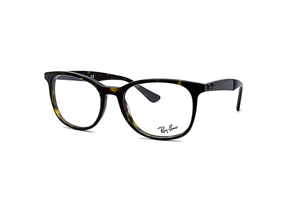 Ray-Ban - RB5356 (2012)