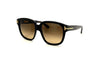 Tom Ford - FT1236 (Black | Brown Gradient)