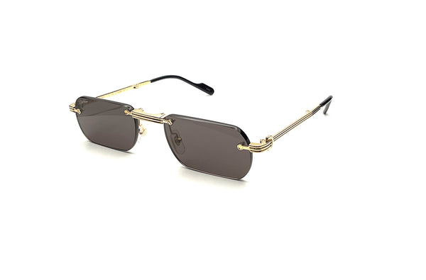 Cartier - CT0499S (Gold)