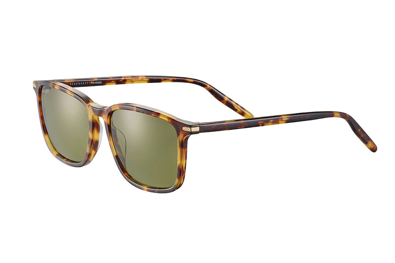 Serengeti - Lenwood (Shiny Classic Havana)