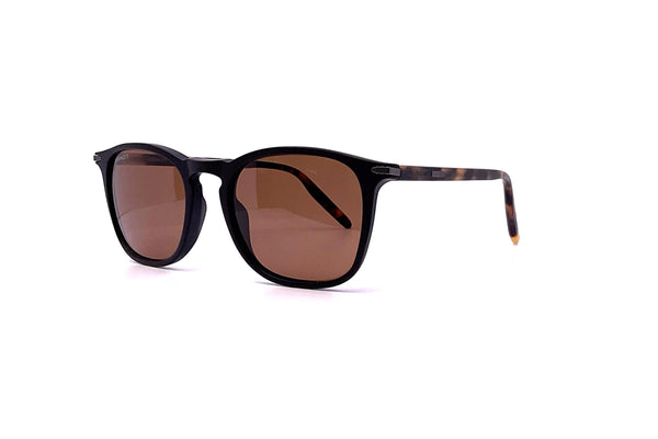 Serengeti - Delio (Matte Black/Havana)