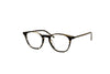 Oliver Peoples - Hanks (Cinder Cocobolo)