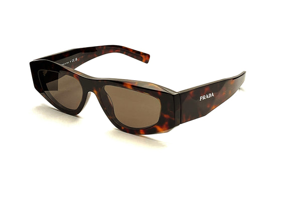 Prada - SPR B19 (Root Tortoise)