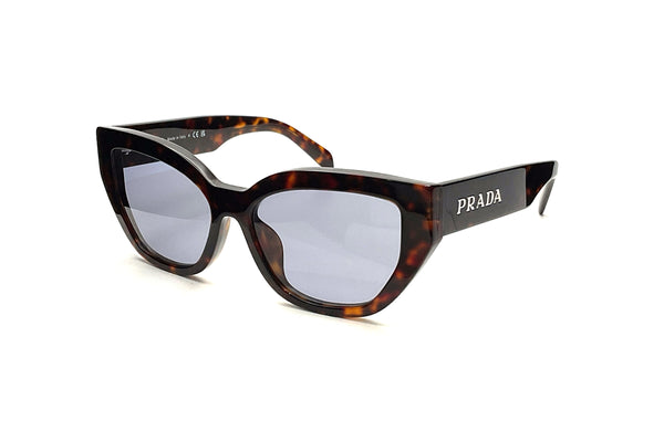 Prada - SPR A09-F (Root Tortoise)