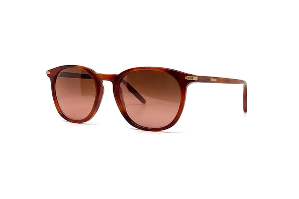 Serengeti - Arlie (Shiny Red Tortoise)