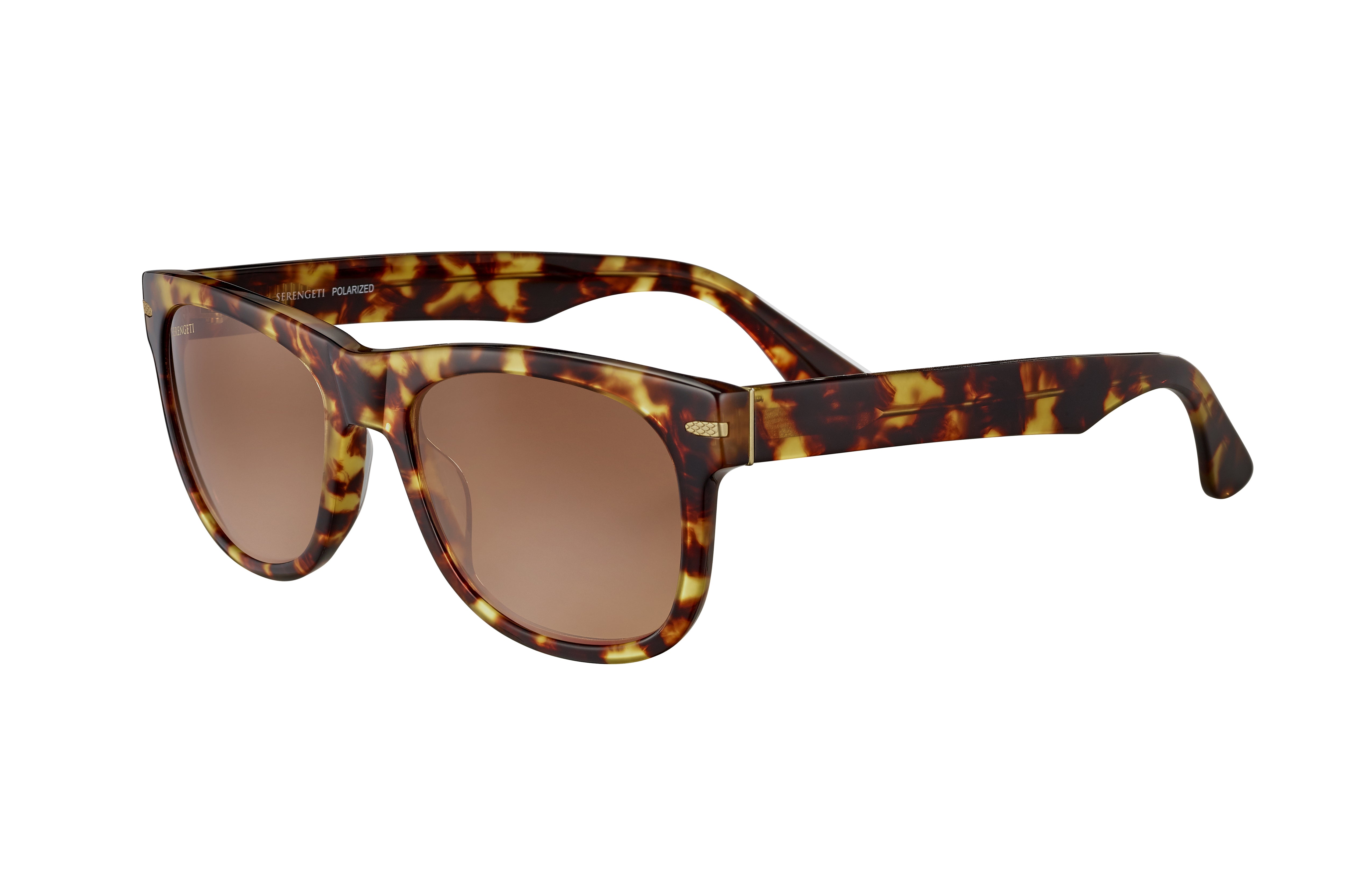 サングラス SERENGETI FW25 Serengeti - FOYT - ss549001 (FOYT SS549001) FOYT LARGE Sunglasses | Serengeti