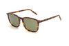 Serengeti - Lenwood (Classic Tortoise)