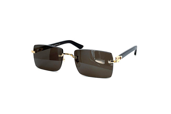 Cartier - CT0579S (005)