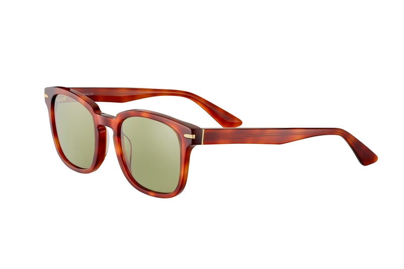 ジョンハン　ヘンガレ　ヨントントレカ Serengeti - Ethan (Shiny Classic Havana | Non-Polarized 555nm