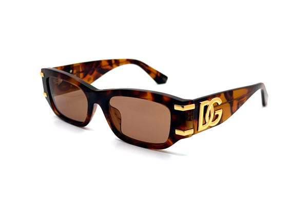 Dolce & Gabbana - DG 4564 (Red Havana | Brown)