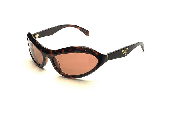 Prada - SPR A20 (Root Tortoise)