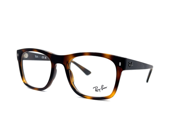 Ray-Ban - RB 7228 (Polished Havana)