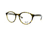 Ray-Ban - RB 5361 (Polished Tortoise | Clear)