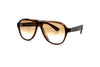 Oliver Peoples - Paul Newman (Espresso Acetate | Honey Gradient)