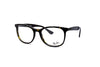 Ray-Ban - RB5356 (2012)