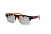 Brunello Cucinelli - Iconic Meridian - BC4028S (Havana Fade)