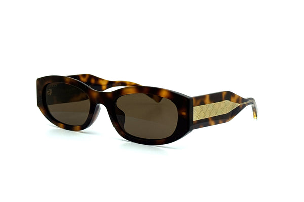 Gucci -  GG2068SA AF (Havana | Brown)