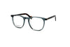 Entourage of 7 - Beckett (Grey Tortoise)