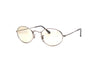Ray-Ban - Oval Solid Evolve (Polished Silver | Evolve Photo Brown To Grey)