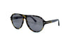 Tom Ford - Quincy TF1080 (Coloured Havana/Shiny Grey)