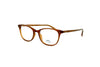 Kilsgaard - Angleterre (Dark Amber) Final Sale