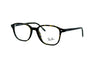 Ray-Ban - Leonard Optics (Polished Havana | Clear)