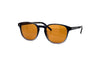Oliver Peoples - Fairmont Sun (Twilight Gradient Acetate | Cognac Crystal)