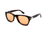 Persol - 8001S (Havana) [51]