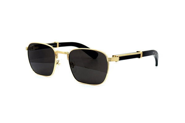 Cartier - Première de Cartier - CT0363S (Gold/Black)