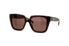 Gucci - GG2102S (Havana)
