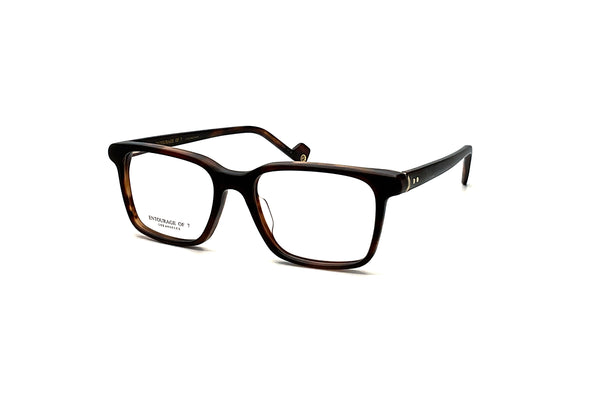 Entourage of 7 - Wilbur (Tortoise)