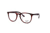 Ray-Ban - RB7159 Optics (Polished Havana On Transparent Purple)