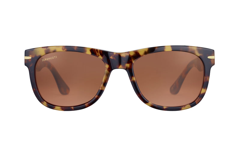 サングラス SERENGETI FW25 Serengeti - FOYT - ss549001 (FOYT SS549001) FOYT LARGE Sunglasses | Serengeti