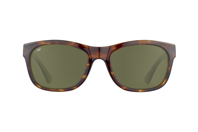 Serengeti - Chandler (Shiny Tortoise)