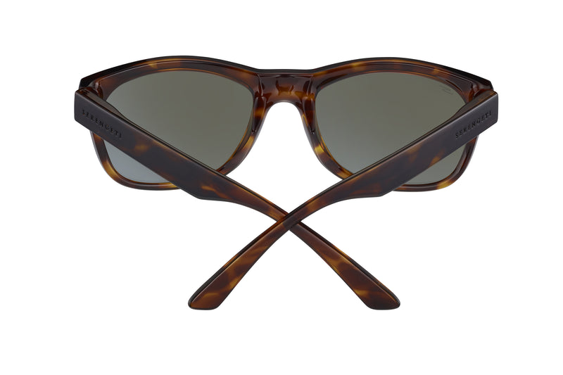 Serengeti - Chandler (Shiny Tortoise)