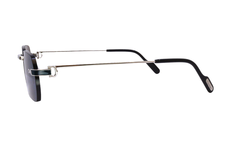 Cartier - CT0498S (004)