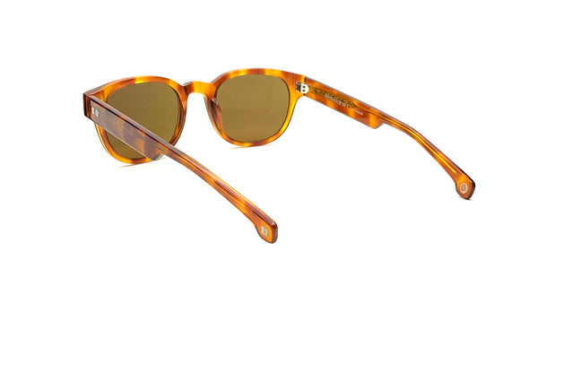 Entourage of 7 - Beacon (Havana | Brown)
