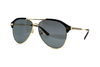 Gucci - GG0288SA (005)