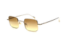 Gucci - GG1813S (Gold | Brown)