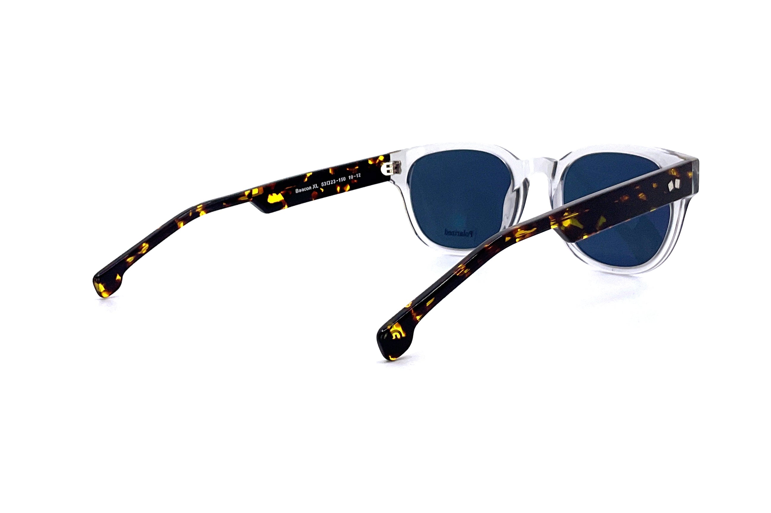 Entourage of 7 - Beacon XL (10-12) (Frost/Tortoise Blue Polarized)
