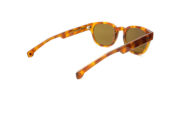 Entourage of 7 - Beacon (Havana | Brown)
