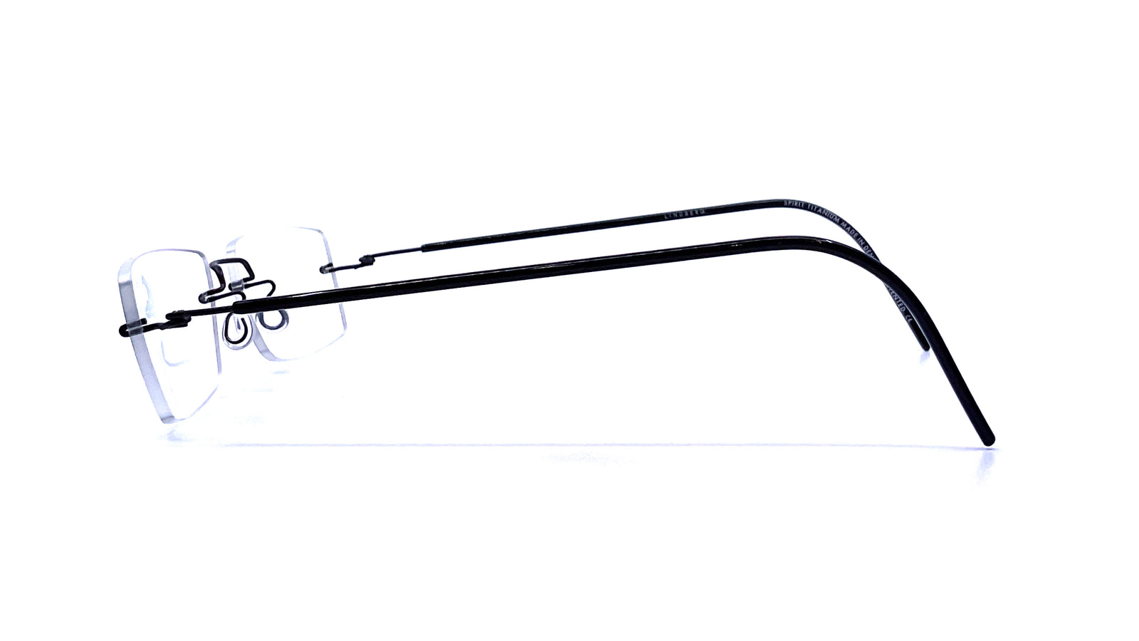 標本 Odontolabis nobuhikoi rare 24mm Odontolabis nobuhikoi rare